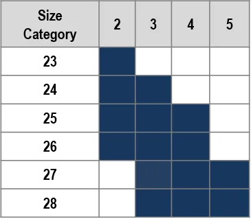 Endurance Size cat matrix.webp