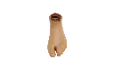 1119_PrimeFoot_Shell_Top.webp