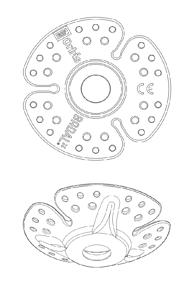 ORBIS_image_2