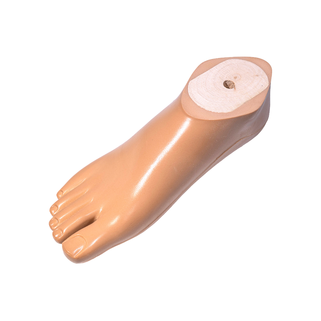 [1102=22L] SACH Foot (22, Left)