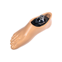Dynamic Step Foot