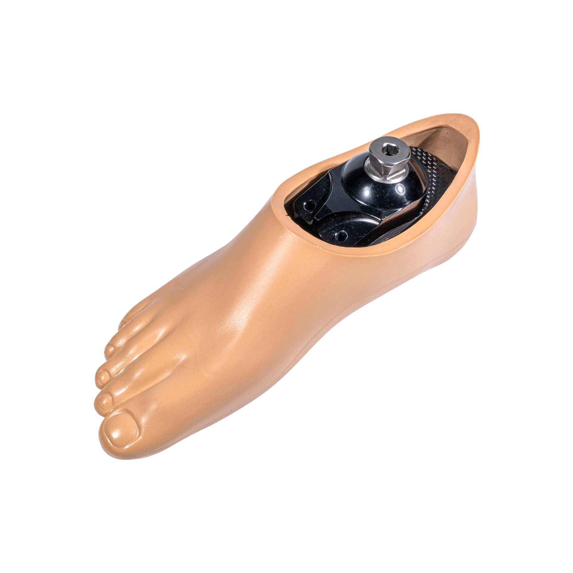 Dynamic Step Foot