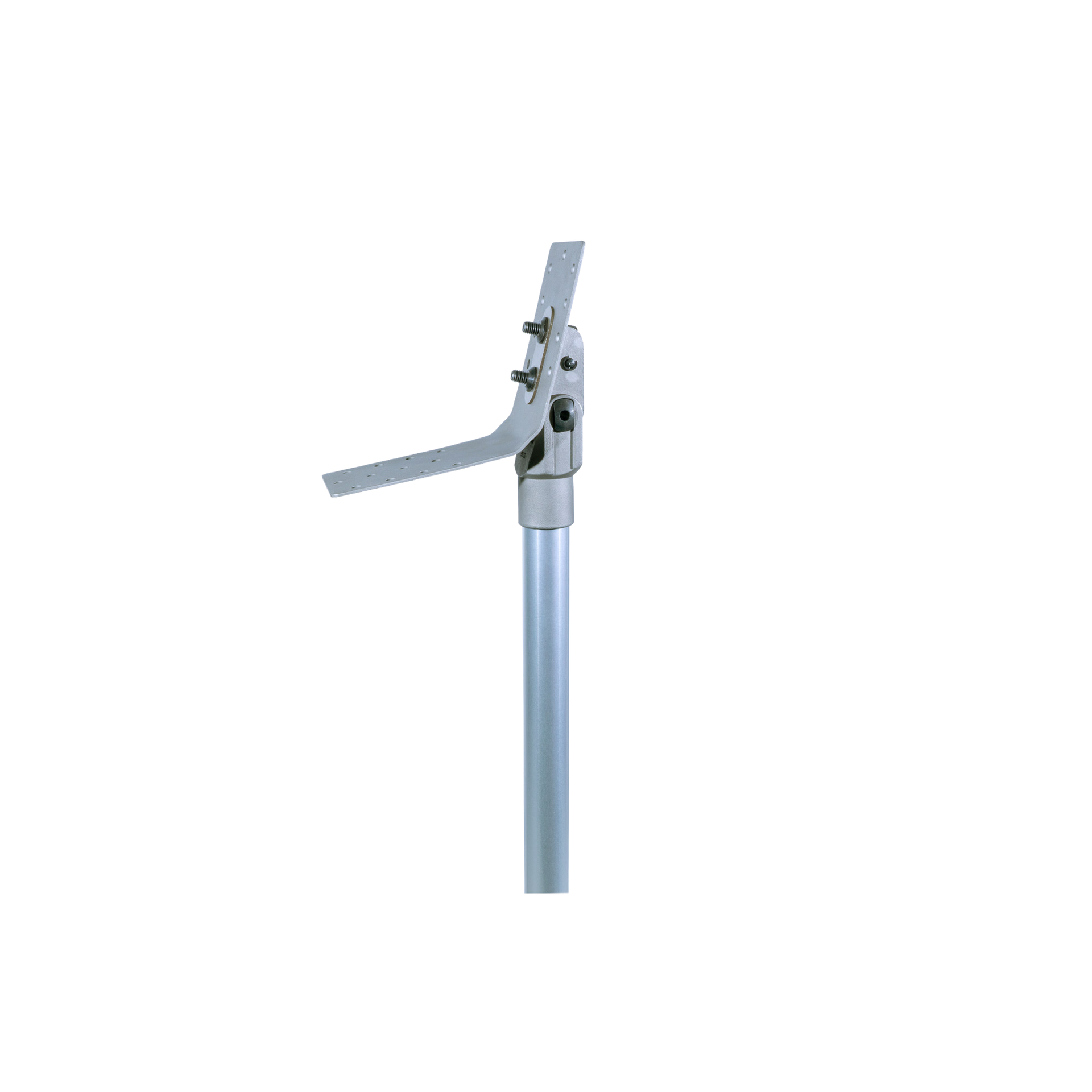 Hip Joint with Internal Extension Assist, SS